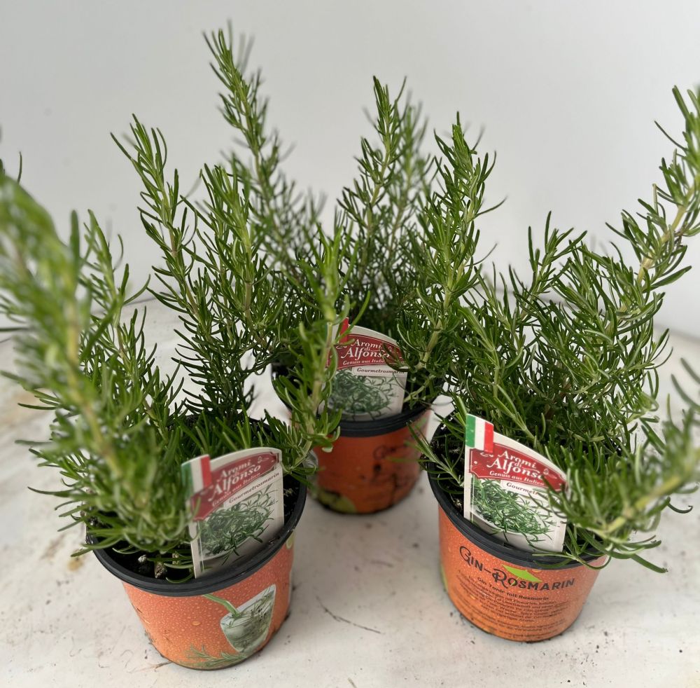 Aktuelles